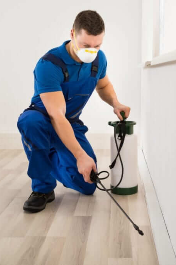Fumigation Services Karachi